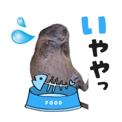 aoi_20220331121127