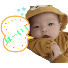 Everyday Aoi.3