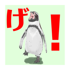 Kamiariduki_20220331154915