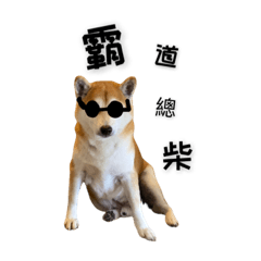 Dog_picture - Stiker LINE | LINE STORE