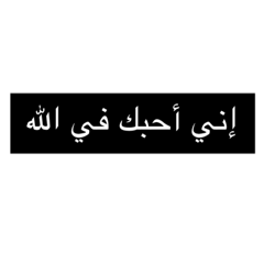 THE LIFE OF A CALFLOWER (dear arabic)