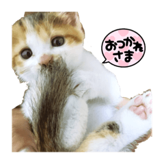 jason_20220331030835