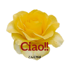 smile_20220331084001