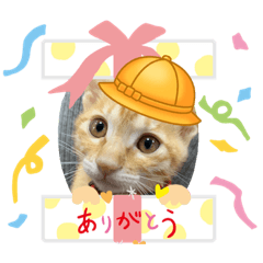 NANA 愛你「ねこ」