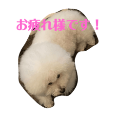 kaito_20220331164635