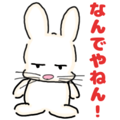 Hello rabbit (Kansai dialect)