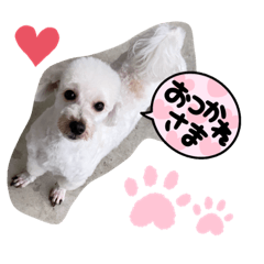 eripon_20220331183254