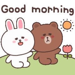 cute brown and cony6