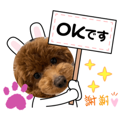 Mizuki_20220331190131