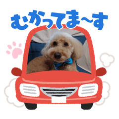 YUKA_20220331205826