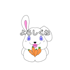 Big rabbit4629