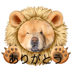 リクスタンプ23