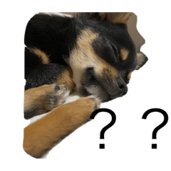 SAORI_20220331222633