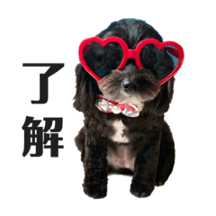 aoi_20220331222852