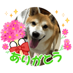 yuka_20220331223853