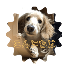 orange_20220331232652