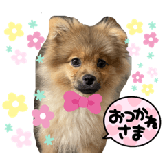 MIKI_20220331235751
