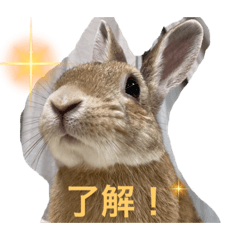 ton_20220401010841