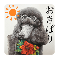 aoi_20220401103221