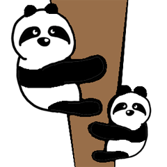 Folivora PANDA For young people