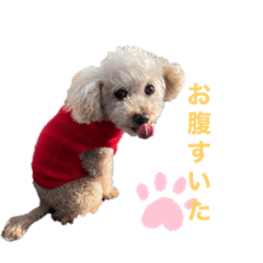 akari_20220331232500