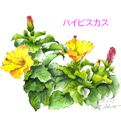 ４０種類の手描きの季節の花（和名付き）