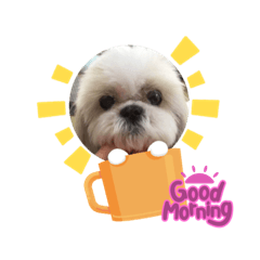 Yukari_20220331183807