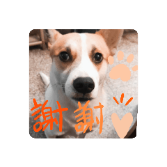 家有小怪獸2