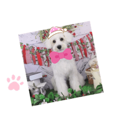 junko_20220331223623