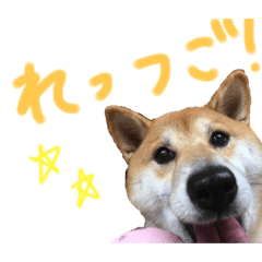 hana_20220331190411
