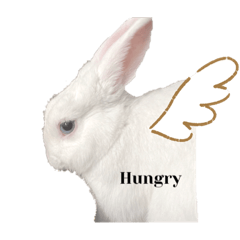 hikari_20220401124259