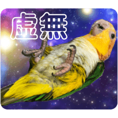 ai_20220401131735