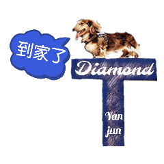 Diamond 耶