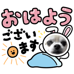 aoi_20220401135711
