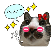 Ebizo Kojiro