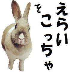 Mr. rabbit of Kansai accent, 2.