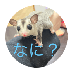 nozomi_20220401154944