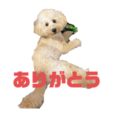 SHIHO_20220401133650