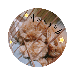 Mitsuki_20220401173746