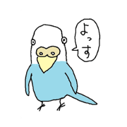 Blue budgerigars Ji-chan