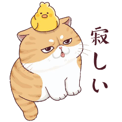 Sumo Cat (V. Japan )