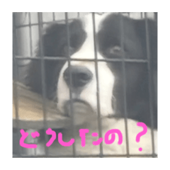 yuka_20220401224035