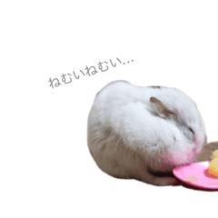 chie_20220401230459