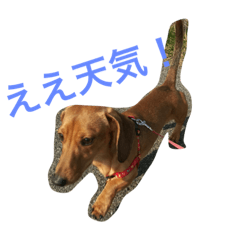 kazokuuuuu
