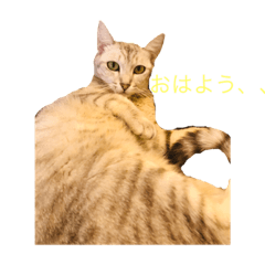 Kaito_20220401123300