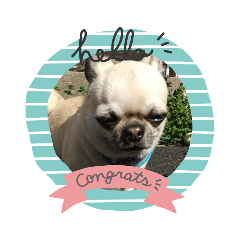 akiko_20220402070535