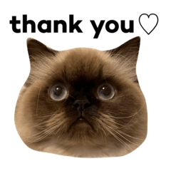 HiNMi0914_20220401222037