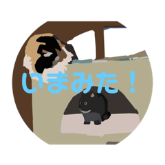 hanasai tubomi_20220402100652