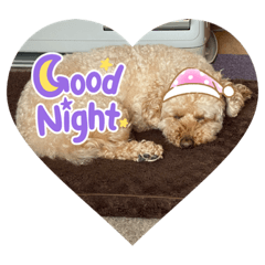 natsumi_20220402042001