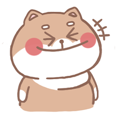misty cat-Shiba Inu 3